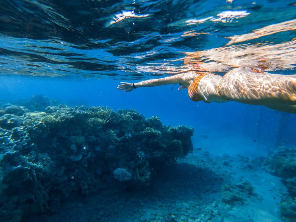 diving hurghada trip